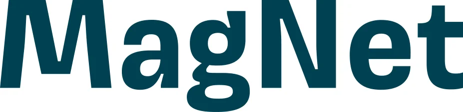 Magnet