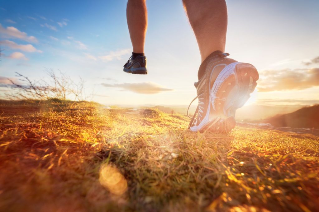 Redattore - Stage
